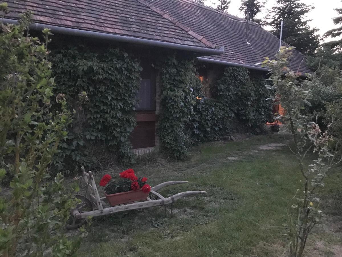 Vadszolos Porta Ispánk Exteriér fotografie